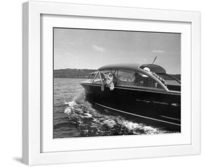 Blondie, the Pet Lion, Fascinated by the Water as She Takes Her First Ride in Chris Craft Motorboat - White Framed Art Print Wall Art, 16x12