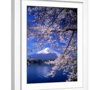 Cherry Blossoms and Mt. Fuji - White Framed Art Print Wall Art, 12x16