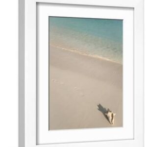 Conch Shell on Grace Bay Beach, Providenciales, Turks and Caicos Islands, West Indies, Caribbean - White Framed Art Print Wall Art, 9x12
