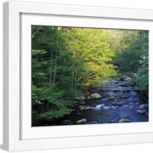 Elkmount Area, Great Smoky Mountains National Park, Tennessee, USA - White Framed Art Print Wall Art, 16x12
