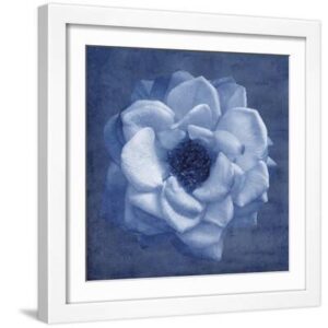 Floral Imprint III - White Framed Art Print Wall Art, 16x16