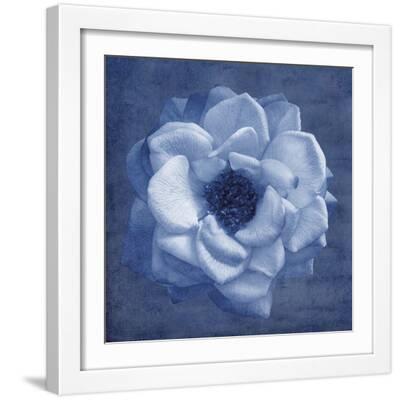 Floral Imprint III - White Framed Art Print Wall Art, 16x16