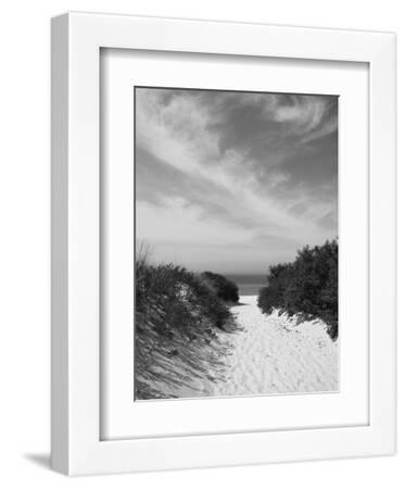 Lambert's Cove Beach, North Tisbury, Martha's Vineyard, Massachusetts, USA - White Framed Art Print Wall Art, 9x12