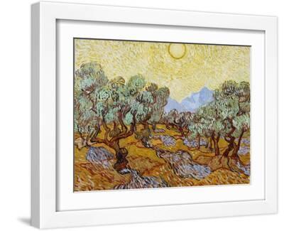 Olive Trees, 1889 - White Framed Art Print Wall Art, 16x12