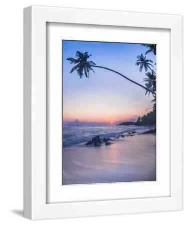 Palm Tree at Sunset on Tropical Mirissa Beach - White Framed Art Print Wall Art, 9x12