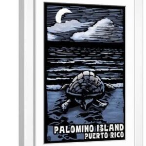 Palomino Island, Puerto Rico - Sea Turtle on Beach - Scratchboard - White Framed Art Print Wall Art, 12x18