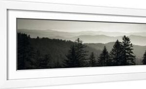 Panoramic View of Trees, Great Smoky Mountains National Park, North Carolina, USA - White Framed Art Print Wall Art, 24x8
