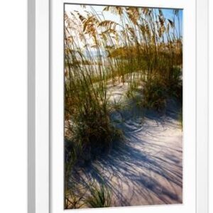 Sea Oats & Shadow I - White Framed Art Print Wall Art, 12x18