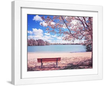 Vintage Moment - White Framed Art Print Wall Art, 16x12